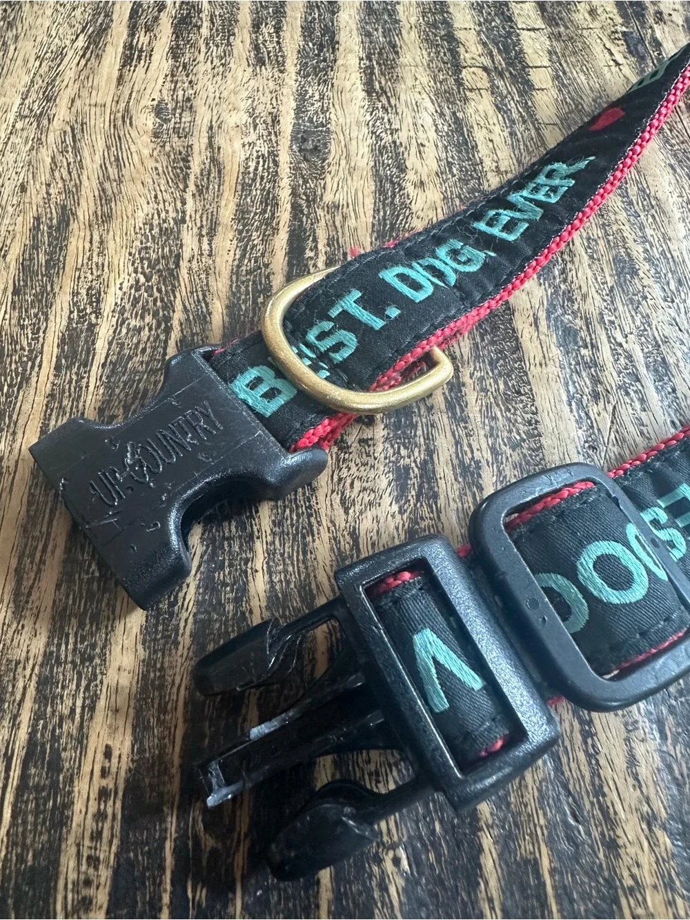 Vivacouture Black Collar with Teal Embroidered Text and Red Stitching